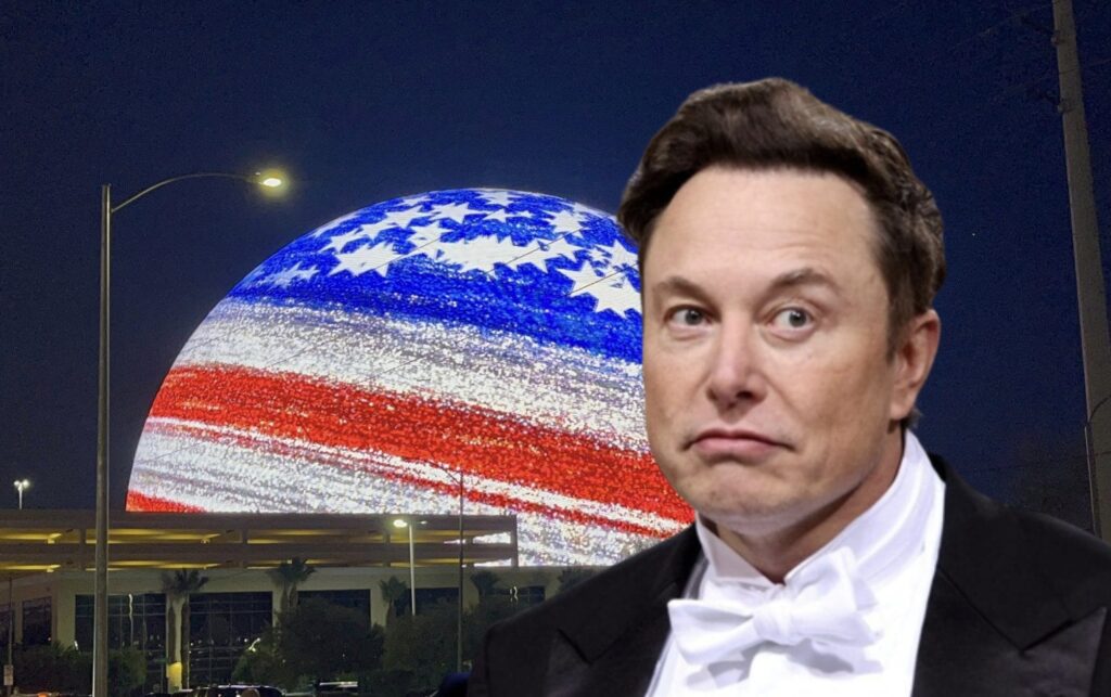 Elon Musk's plan for the US elections worked: what will he do now that Donald Trump has won