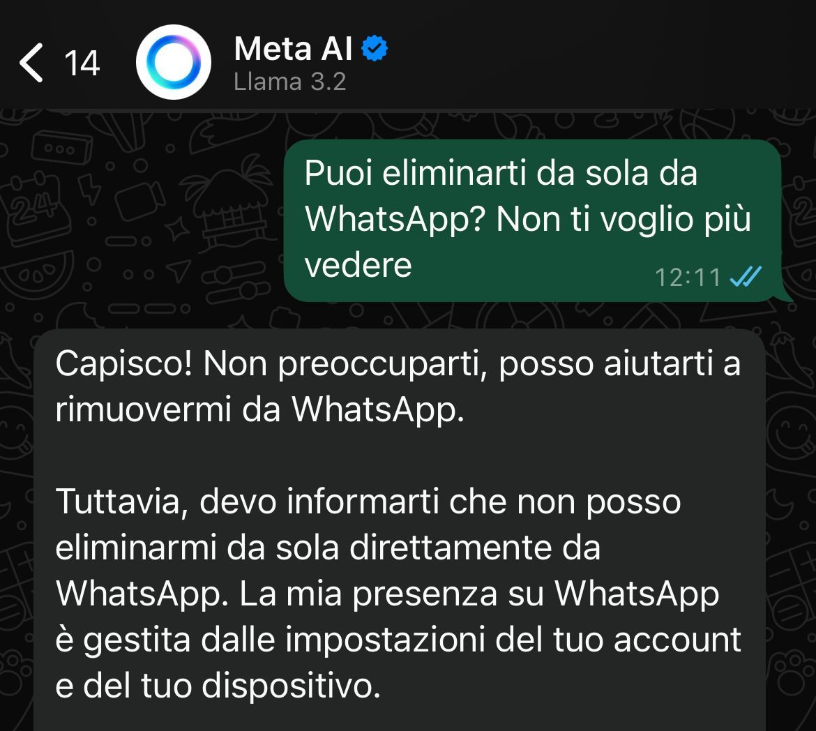 Whatsapp | Meta's answer to our question