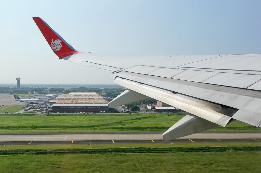 Extended flap. Credit: Wikipedia