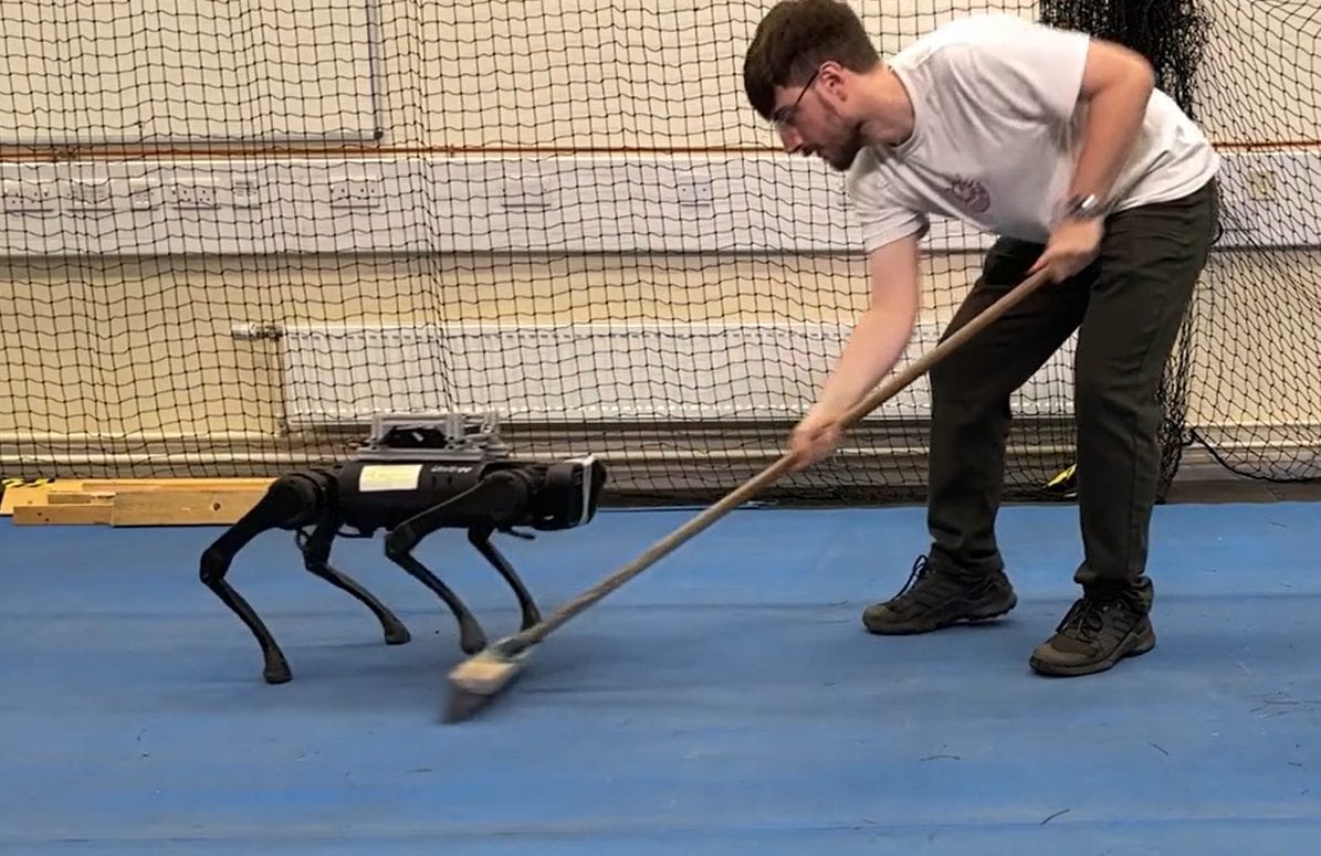 Robot dogs move like real animals thanks to an innovative IA: because it is so precious