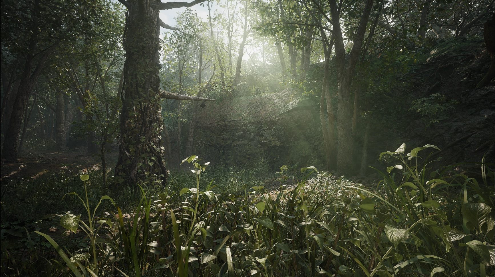Metal Gear Solid Delta: Snake Eater | A glimpse of the jungle in which Naked Snake operates