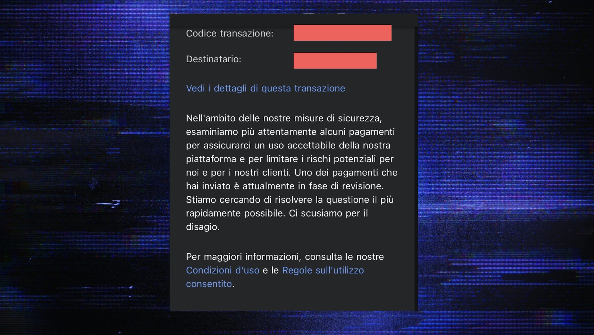 FANPAGE.IT | PayPal's response after payment with the reason Francesca Albanese
