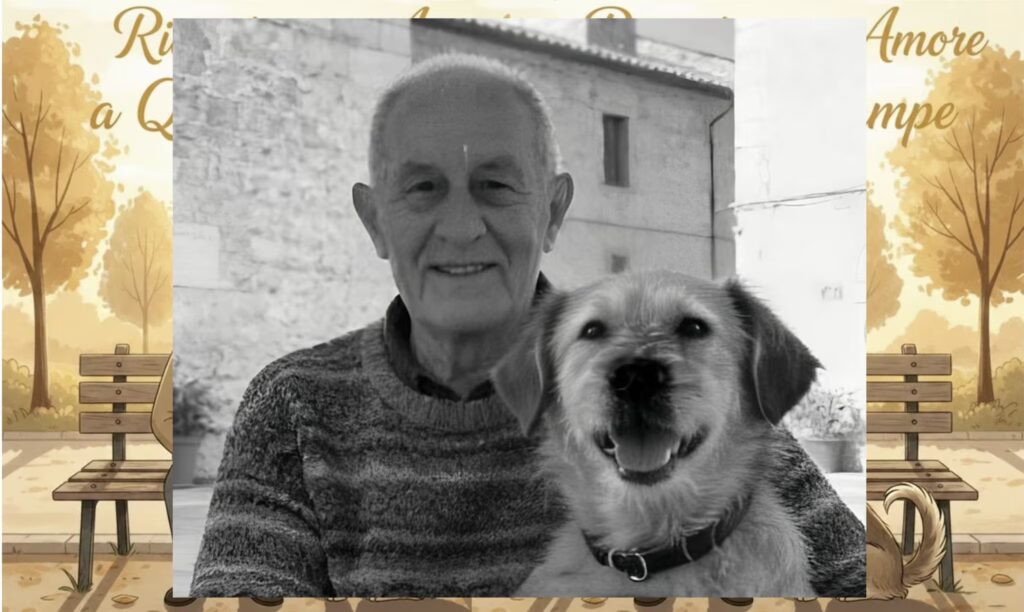 “Forgive me, my dream is to sell a book for my missing dog.” Of course, of course