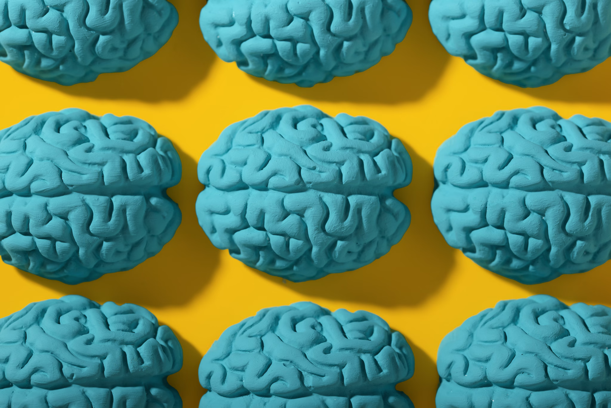 creatine and chips to become smart