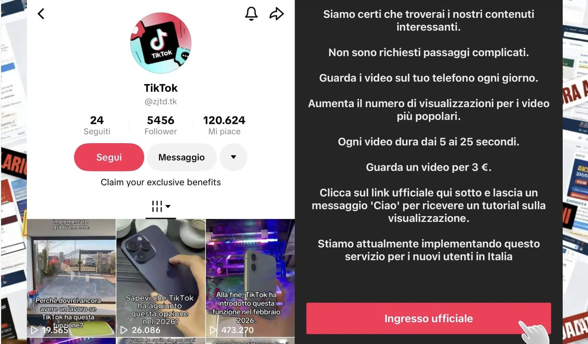 FANPAGE.IT | The information that appears from the TikTok account that proposed the video to us