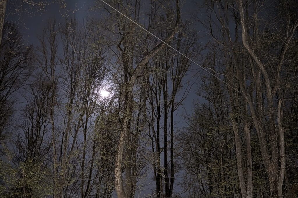 the Pixel 10a night test