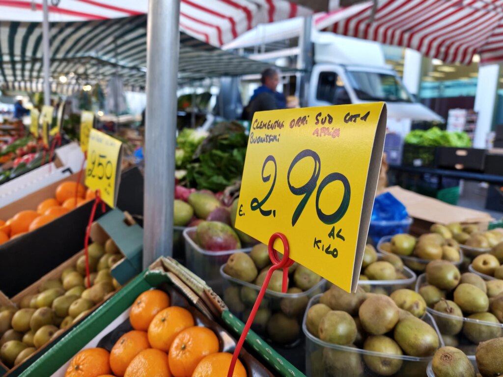 the test at dawn among the stalls
