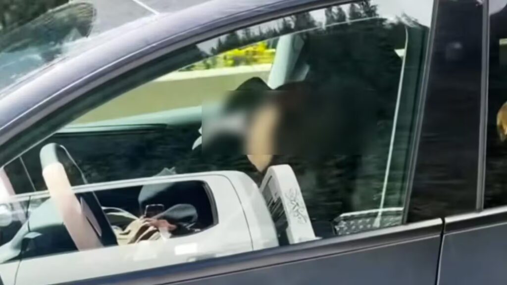 Woman appears to be asleep at the wheel of a Tesla on a highway: viral video sparks controversy over safety