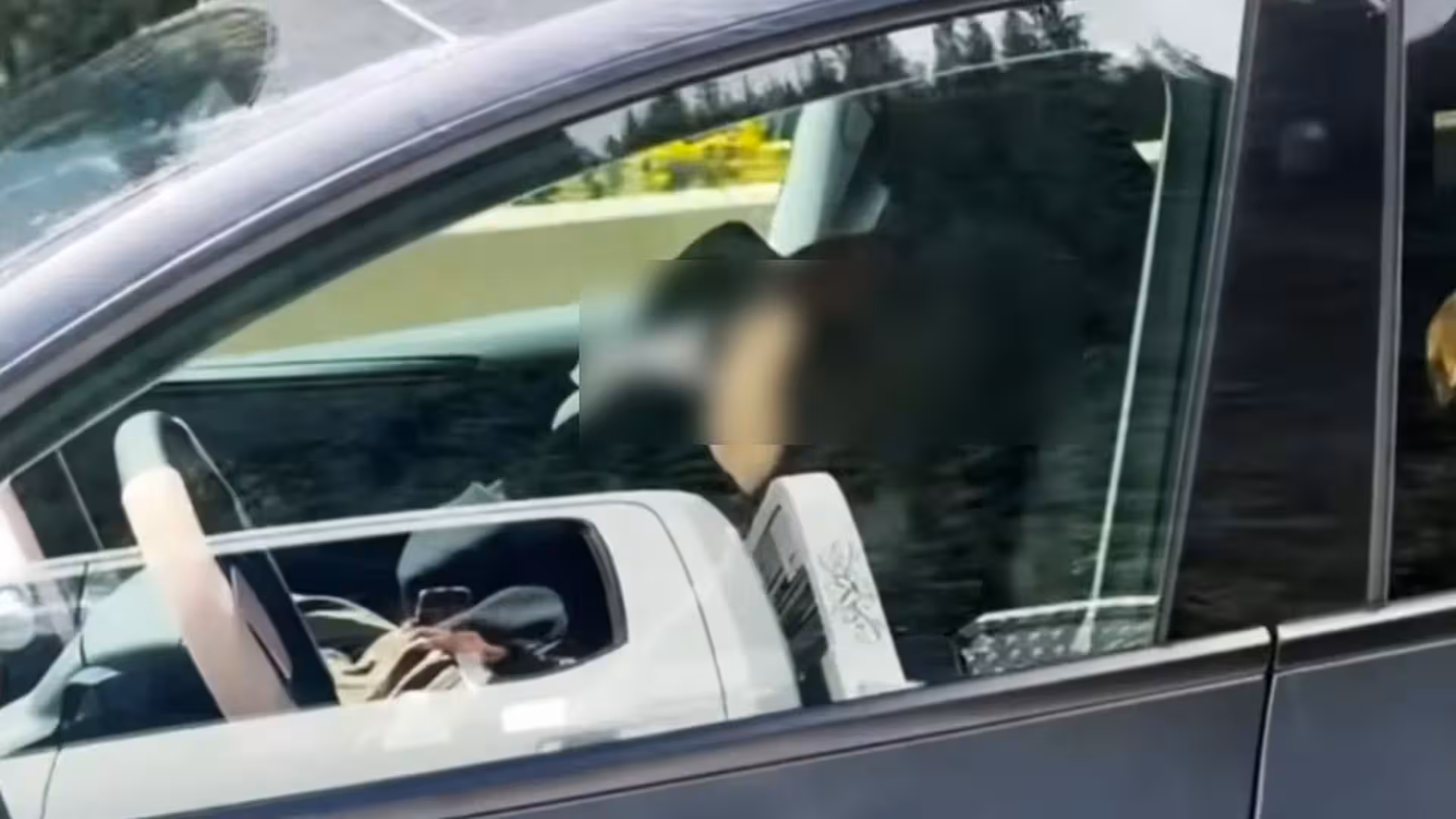 Woman appears to be asleep at the wheel of a Tesla on a highway: viral video sparks controversy over safety
